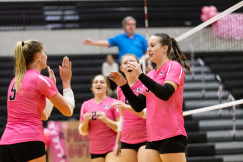 Photos: Varsity Volleyball vs Willard